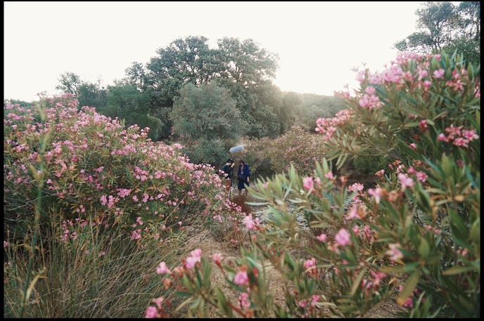 Territórios (19 min)