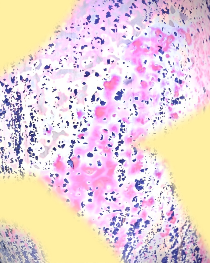 SLIGHTLY MAD FASHION NIGHT