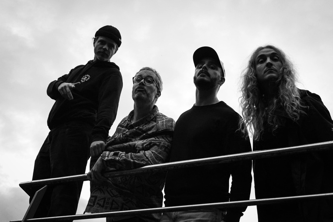 Sir Donkey's Revenge