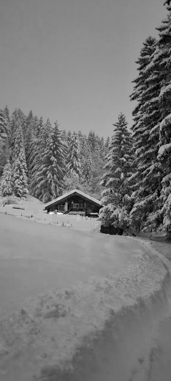 ONE OWL SOUL - DEZALP