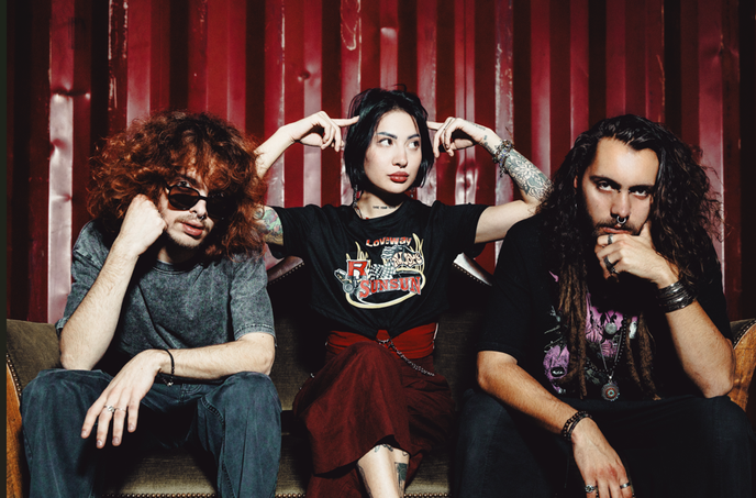 THE TOKSIN - CH - PUNK ROCK, GARAGE ALTERNATIF