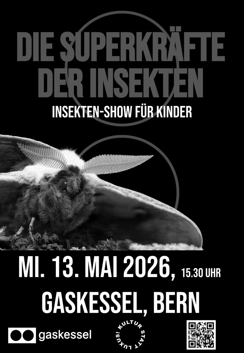 Kindershow: Die Superkräfte der Insekten I Gaskessel Bern