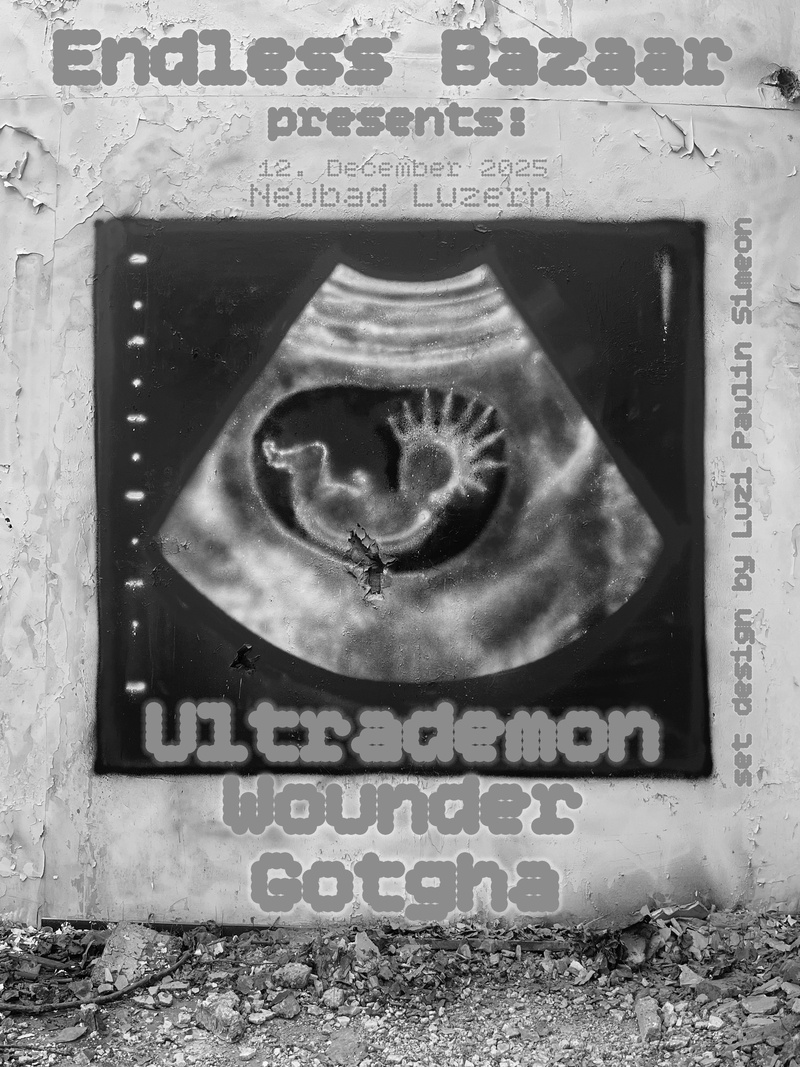 Endless Bazaar präsentiert: ultrademon, Gotgha, Wounder