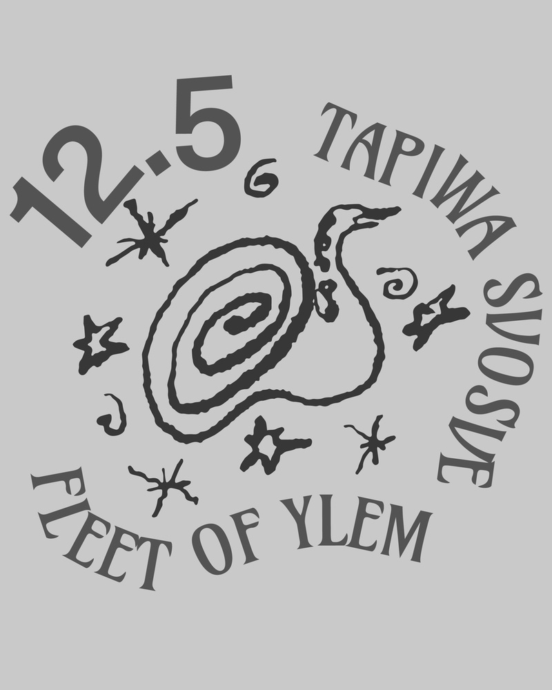 Fleet of Ylem + Tapiwa Svosve