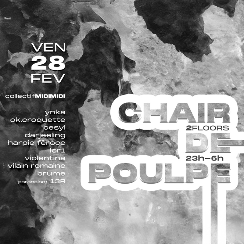 Chair de Poulpe