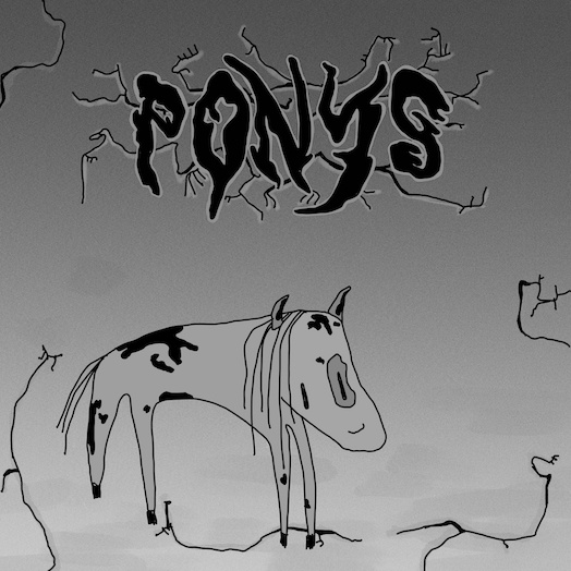 PONYS & Nelly Schweiz