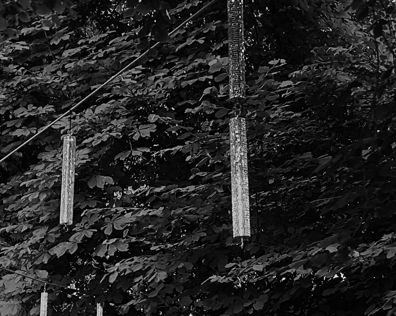 Horizontmanufaktur presents: The Forrest Show