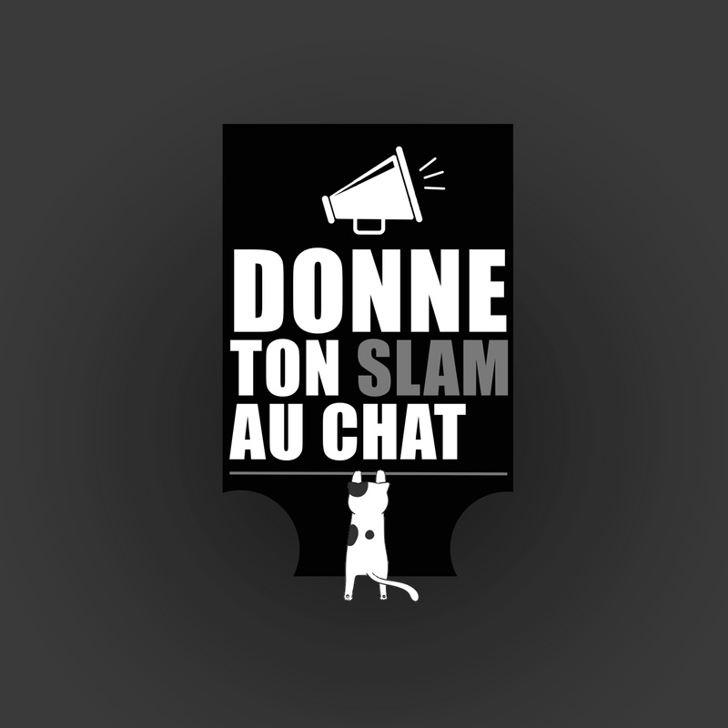 DONNE TON SLAM AU CHAT !
