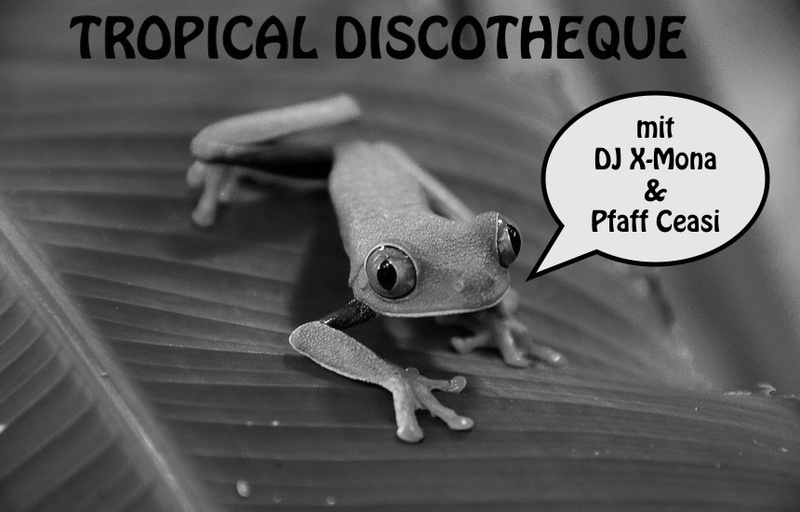 Tropical Discotheque