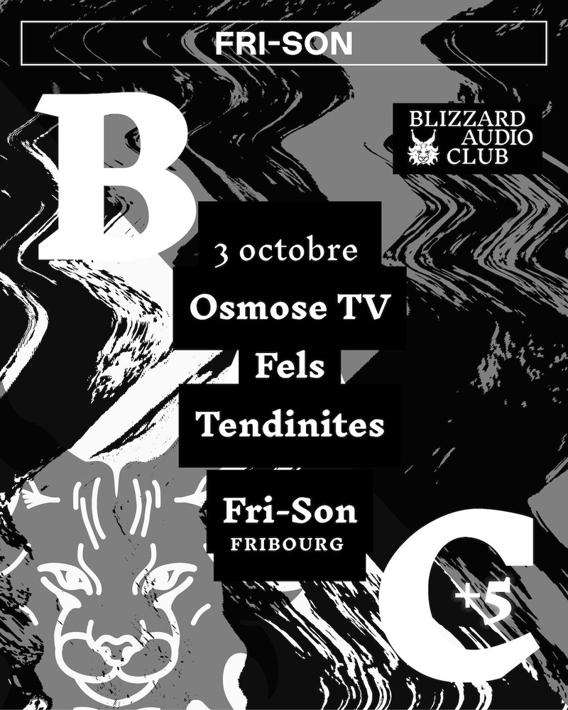 5 ans Blizzard Audio Club : Tendinites, Osmose TV, Fels