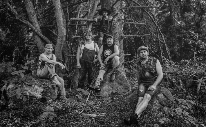 STEVE´N´SEAGULLS
