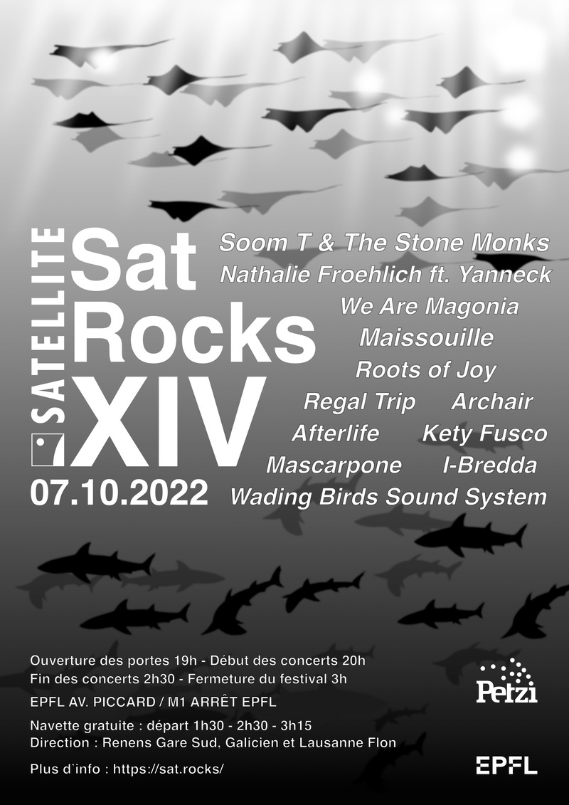 SatRocks XIV