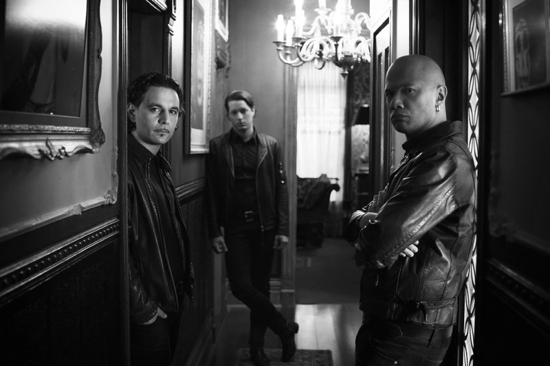 Danko Jones & Snakeskin Boozeband