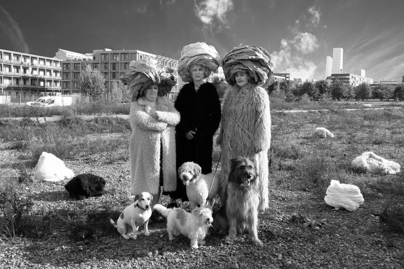 Les Reines Prochaines
