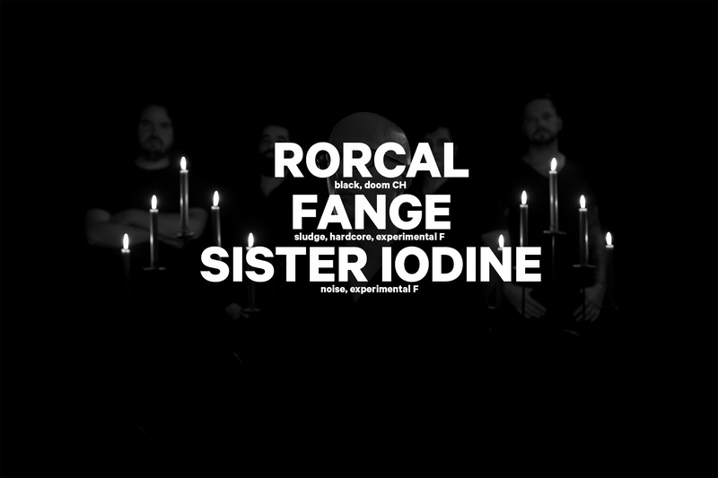 HARD DAY’S NIGHT : RORCAL (CH) + FANGE (F) + SISTER IODINE (F)