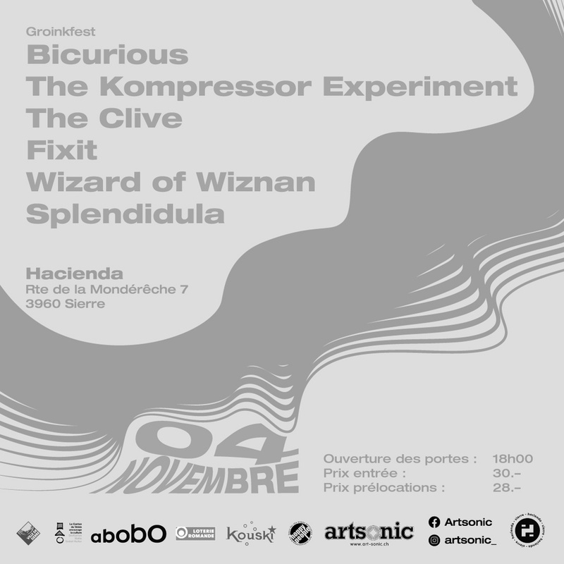 Groinkfest 2023 : Bicurious [IRL] + The Kompressor Experiment [CH-VS] + The Clive [CH-BE] + Fixit [CH-VD] + Wizards Of Wiznan [CH-VS] + Splendidula [BE]