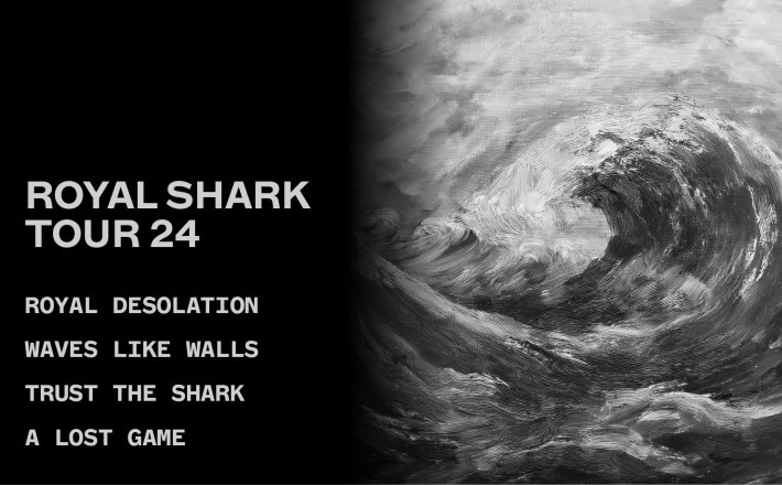 Royal Shark Tour 24