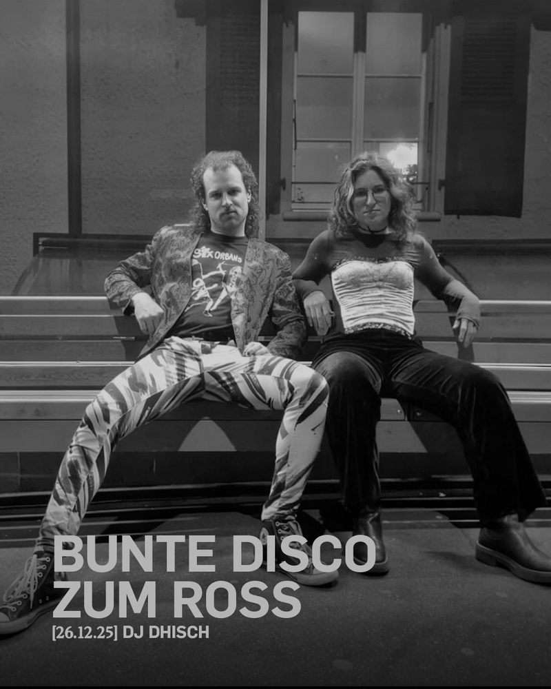 Bunte Disco zum Ross