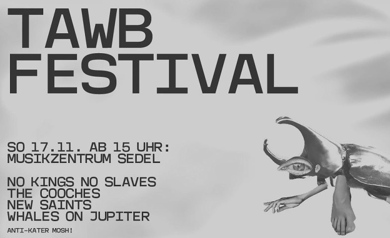 TAWB Festival: Anti-Kater-Mosh im Sedel