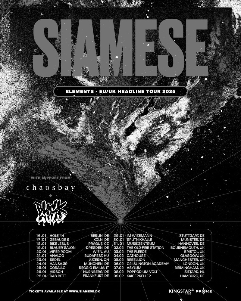 Siamese | Chaosbay | Blackgold