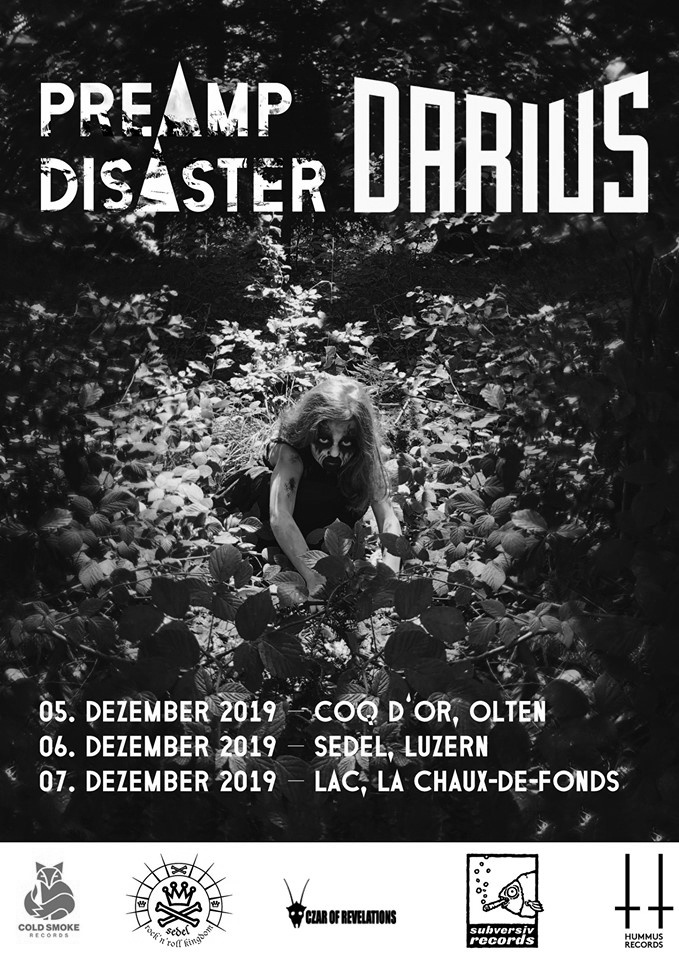 Preamp Disaster | Darius