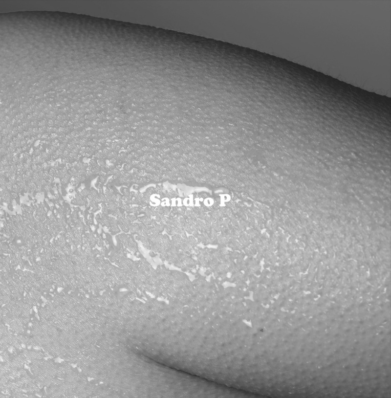 Sandro P Album Release