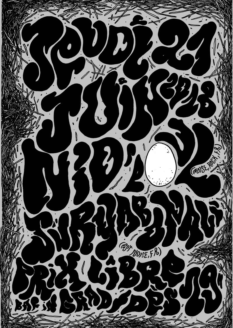 NID’POUL (noise rock / FR) + SÜRYABONALI (post noise / FR)