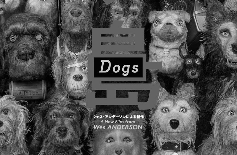 Sommerend-Kino-Sonntag: «Isle of Dogs»