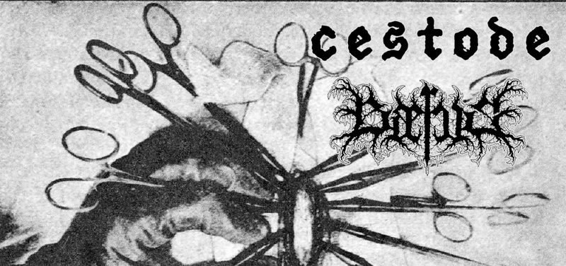 Tales of Doom: Cestode • Baerus