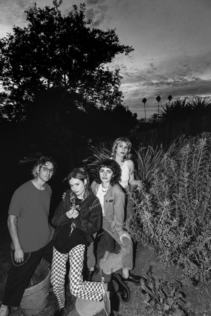 Boa im Exil: The Paranoyds [US] Nice [CH/LU]