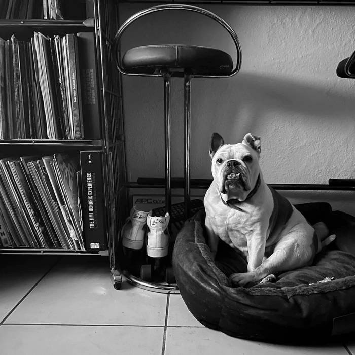 RATC, Holiday Wasteland, Restless