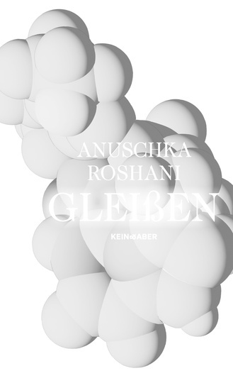 Anuschka Roshani liest: Gleissen