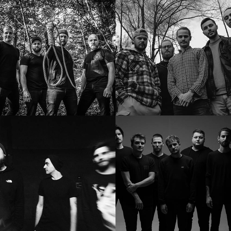 Shallow Dissent Thorn In Oceans Deep Pollen - Beyond The Sense - Metalcore, Deathcore soirée