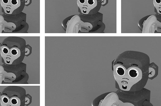 Dance Monkey