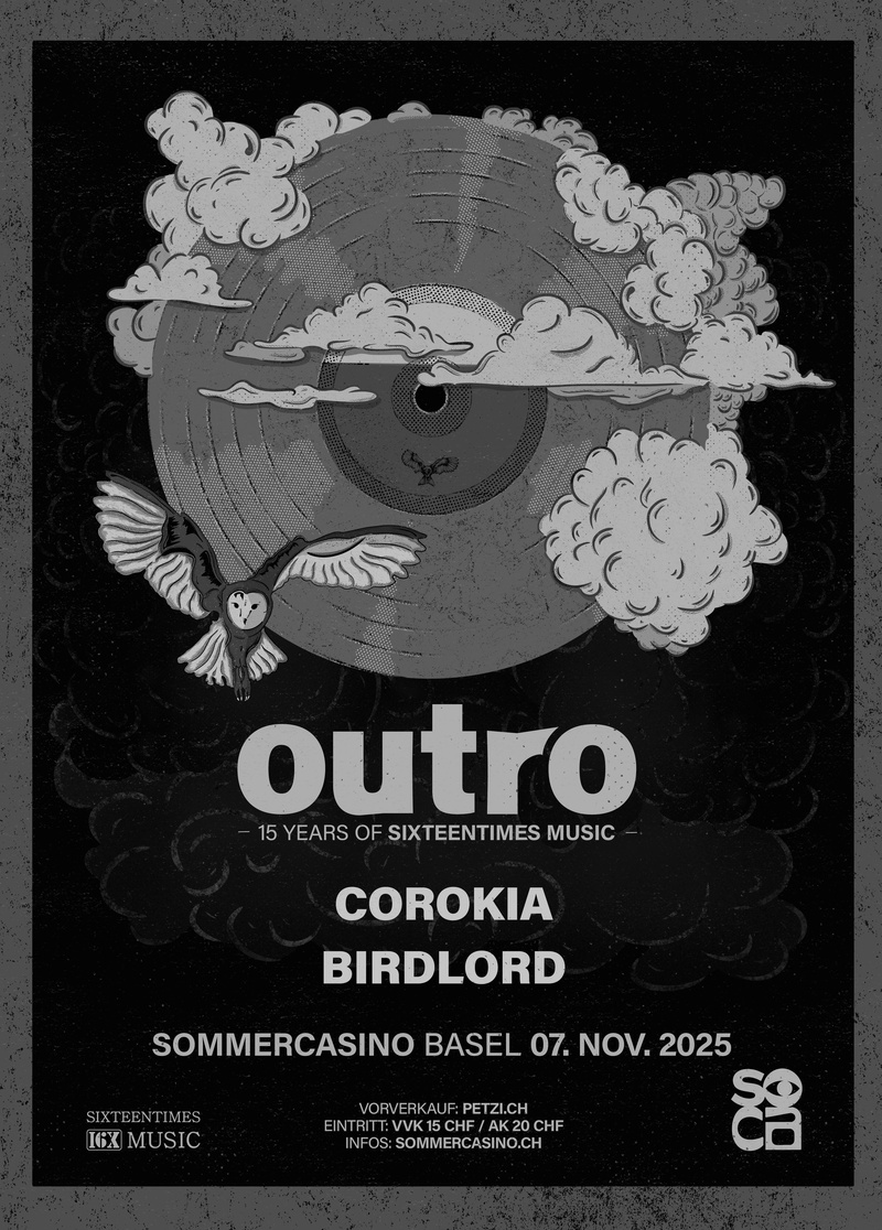 Corokia & Birdlord