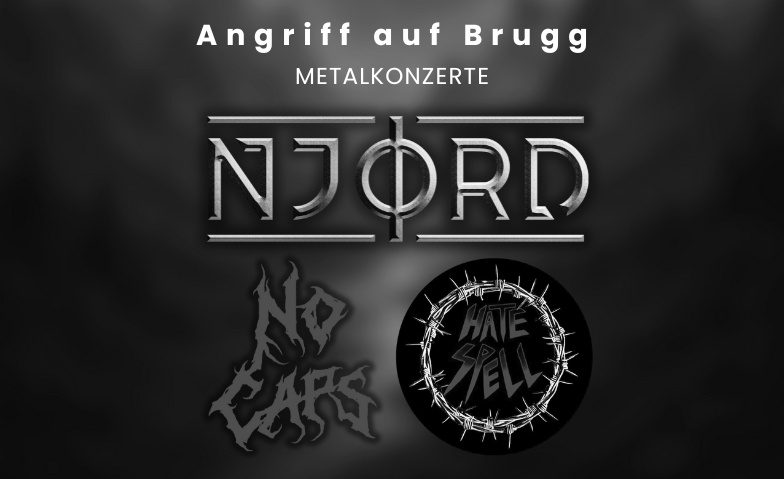 Angriff auf Brugg