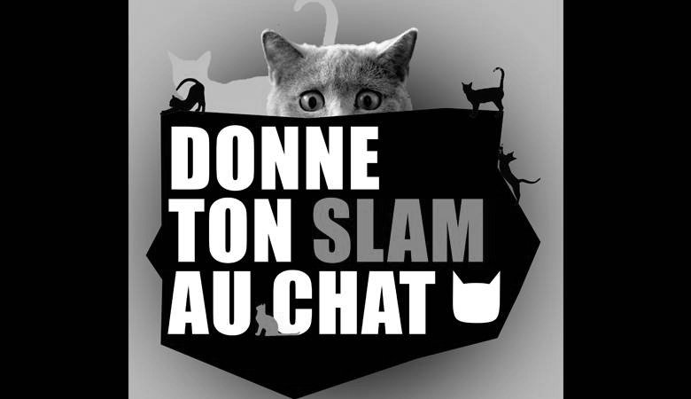 DONNE TON SLAM AU CHAT
