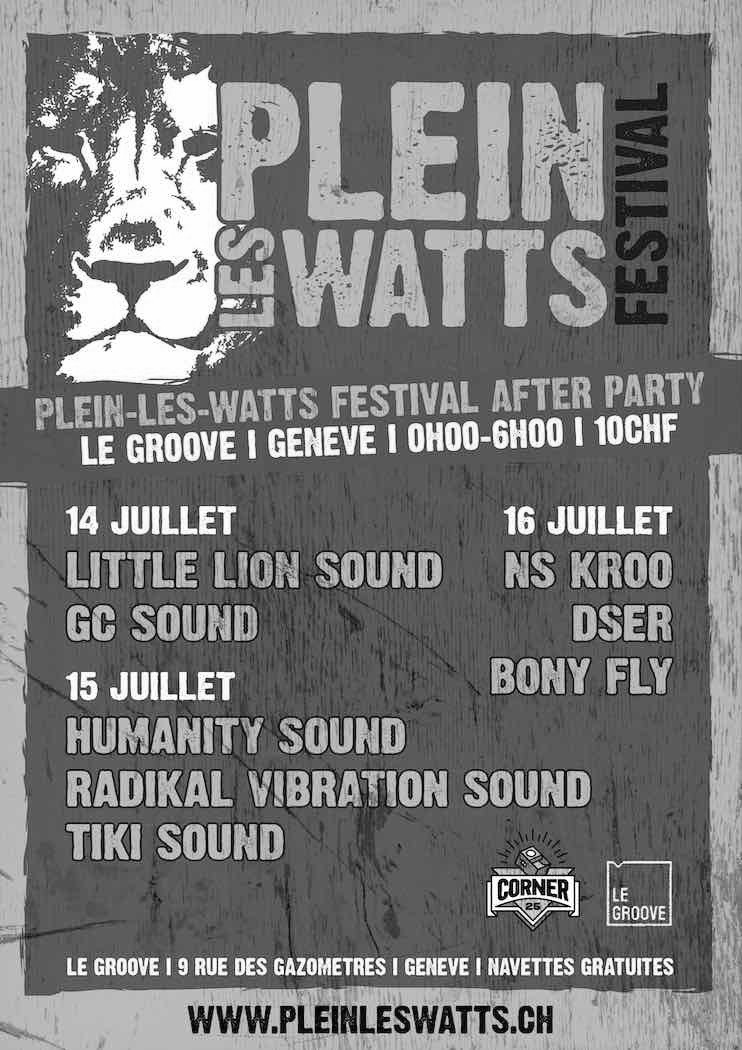 After Party Plein-Les-Watts Festival